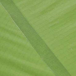 VAUDE LIZARD SEAMLESS 1-2P - Einpersonenzelt -Outdoor Ausrüstungs Geschäft 5637736447 af power lizard seamless 12p cress green vaude 24