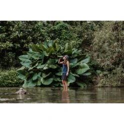 Grayl GEOPRESS PURIFIER - Trinkwasserfilter 15 Grayl GEOPRESS PURIFIER - Trinkwasserfilter -Outdoor Ausrüstungs Geschäft 5637917282 f geopress purifier grayl 24